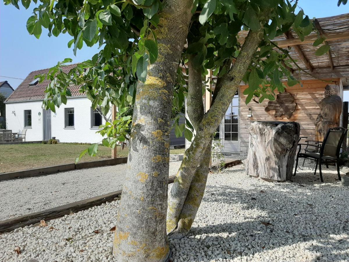 Villa La petite Juliette à Leuze-en-Hainaut Extérieur photo