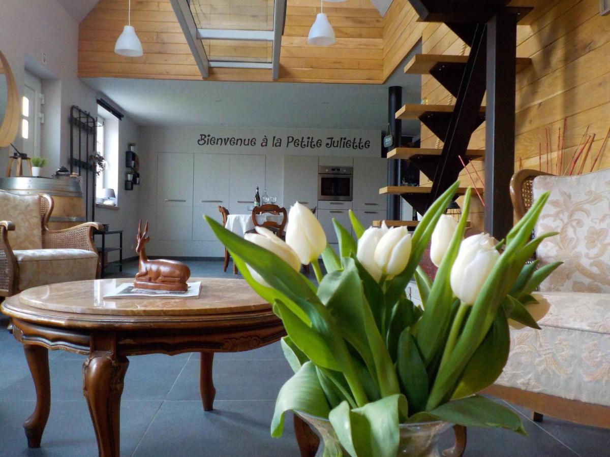 Villa La petite Juliette à Leuze-en-Hainaut Extérieur photo